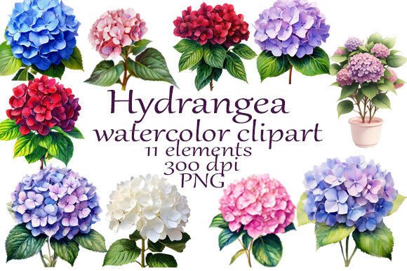 Hydrangea Watercolor Clipart PNG: A Strategic Asset for Visual Branding