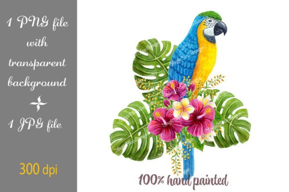 Parrot Macaw Watercolor Ara Tropical PNG: A Practical Guide for Designers