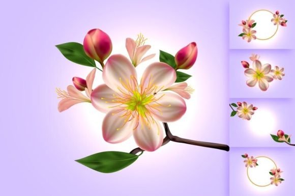 Vector 3D Cherry Blossom Illustrations